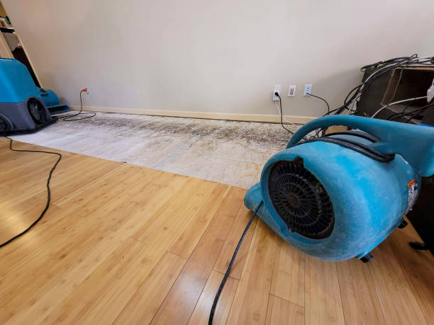 Professional Water Damage Repair technician working in Escondido, CA
